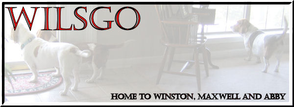 Wilsgo Website Banner