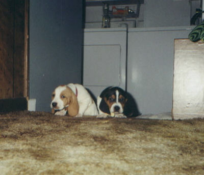 Image of Winston and Abby